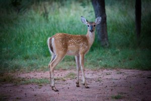 This is what we awoke to the first morning.